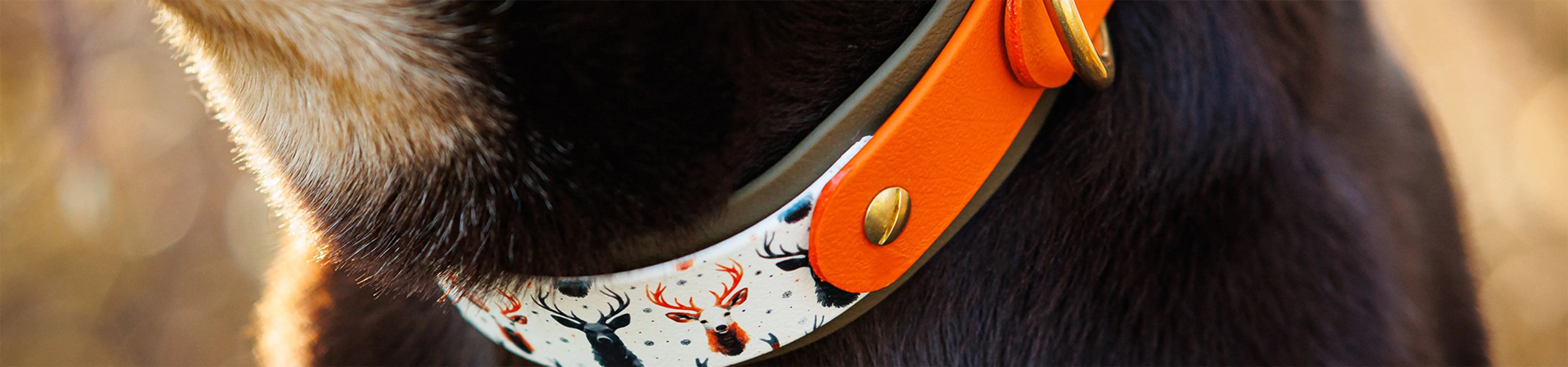 Halsbänder-aus-BioThane Exceptional