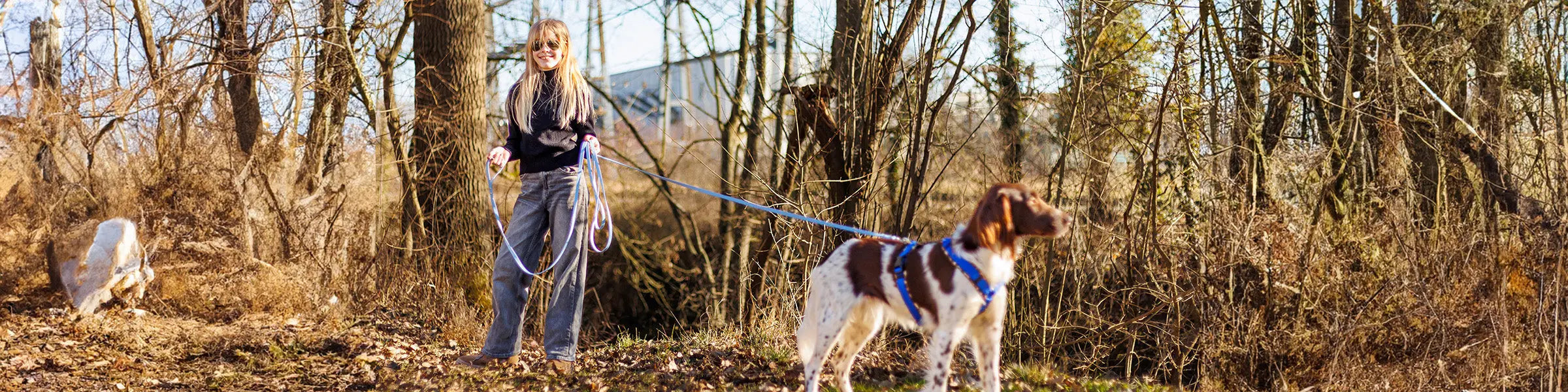 Hundegeschirre Exceptional