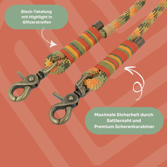 Set | Tauhalsband und Leine 'Amberwood' Exceptional - Manufaktur mit Herz