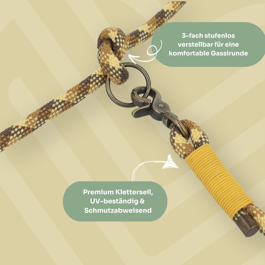 Set | Tauhalsband und Leine 'Golden Dune'