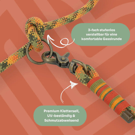 Set | Tauhalsband und Leine 'Amberwood' Exceptional - Manufaktur mit Herz