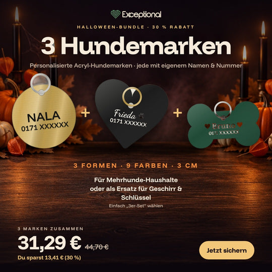 Halloween-Bundle: 3 personalisierte Hundemarken aus Acryl mit 30 Prozent Rabatt