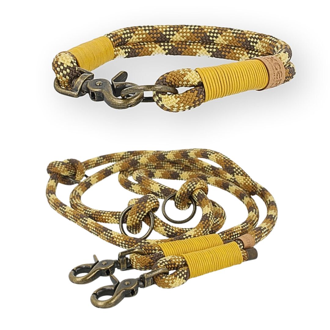 Set | Tauhalsband und Leine 'Golden Dune'