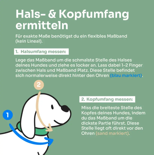 Zugstopp-Halsband aus BioThane® Exceptional - Manufaktur mit Herz