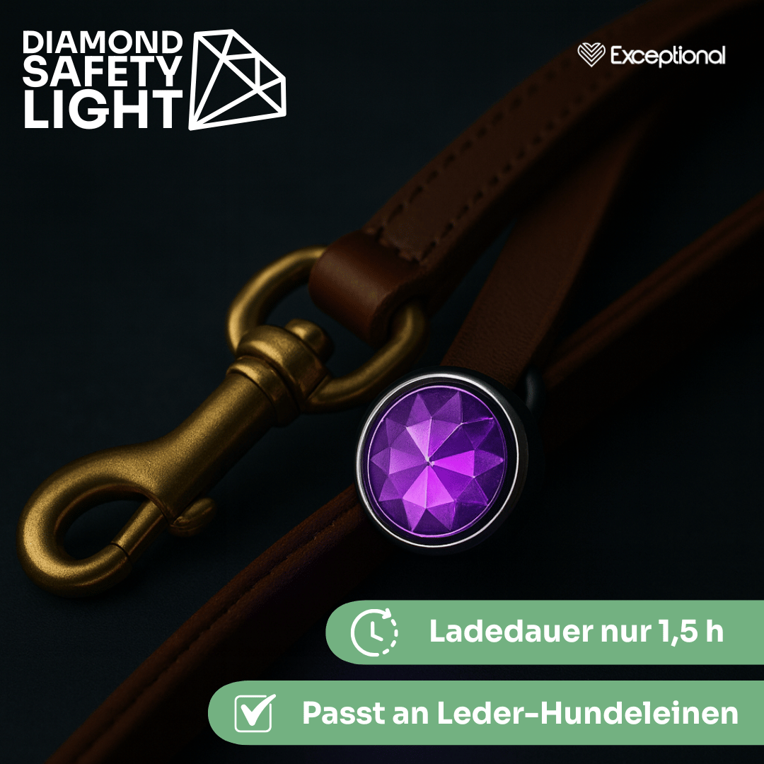 Diamond Safety Light – LED-Sicherheitslicht für Hunde