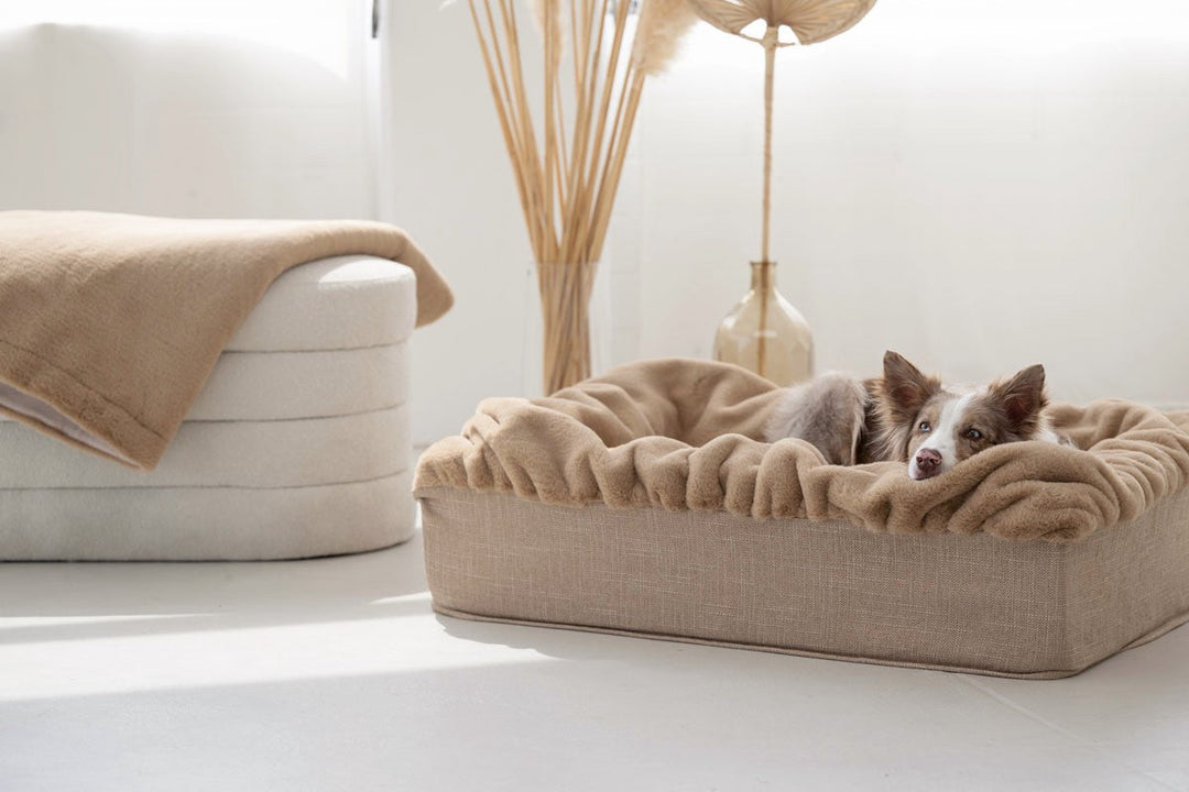 Hundebett Buddelbox® in Karamell – Seitenansicht, Exceptional