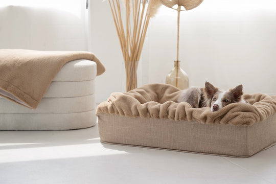 Hundebett Buddelbox® in Karamell – Seitenansicht, Exceptional