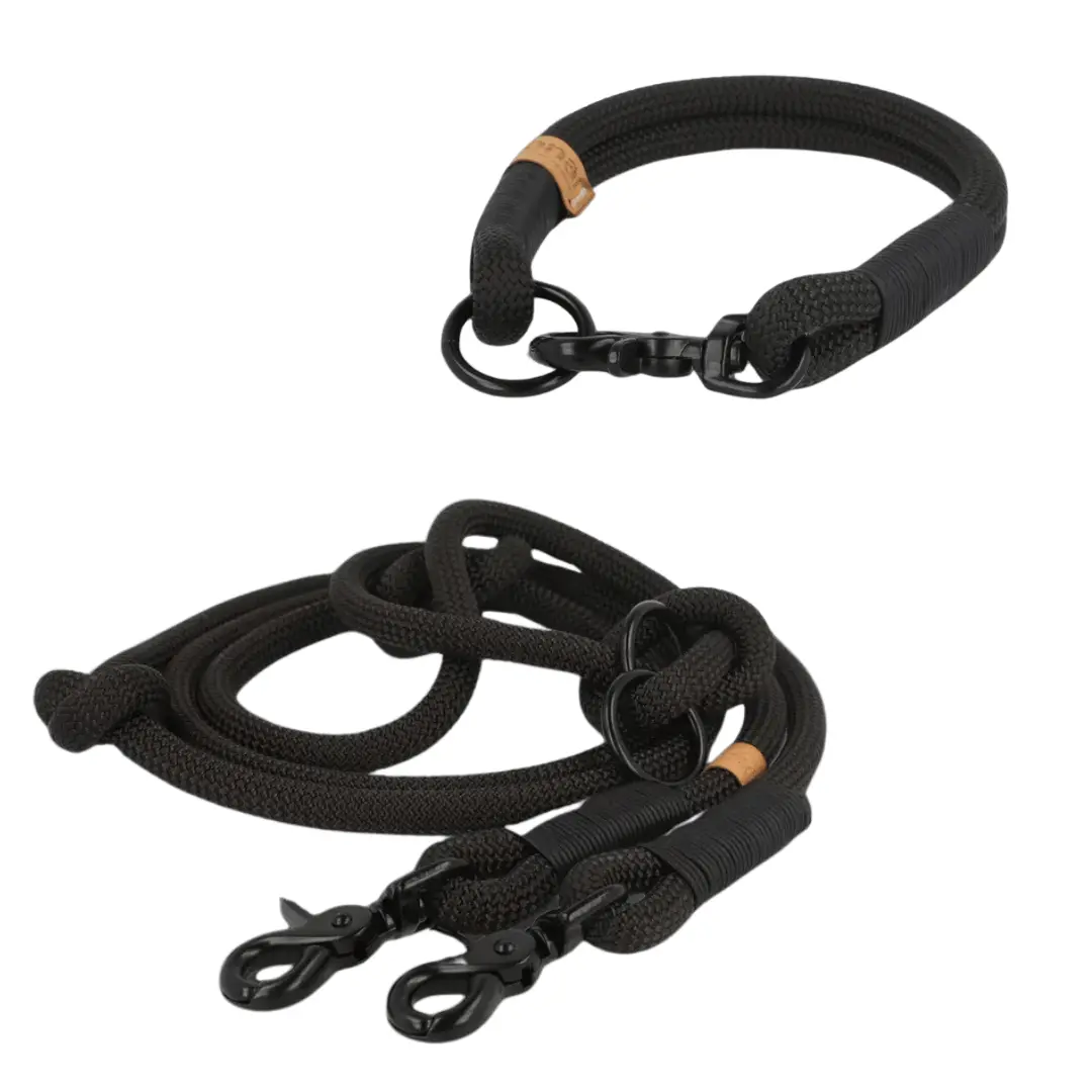 Set | Tauhalsband und Leine 'Black Essence' Exceptional - Manufaktur mit Herz