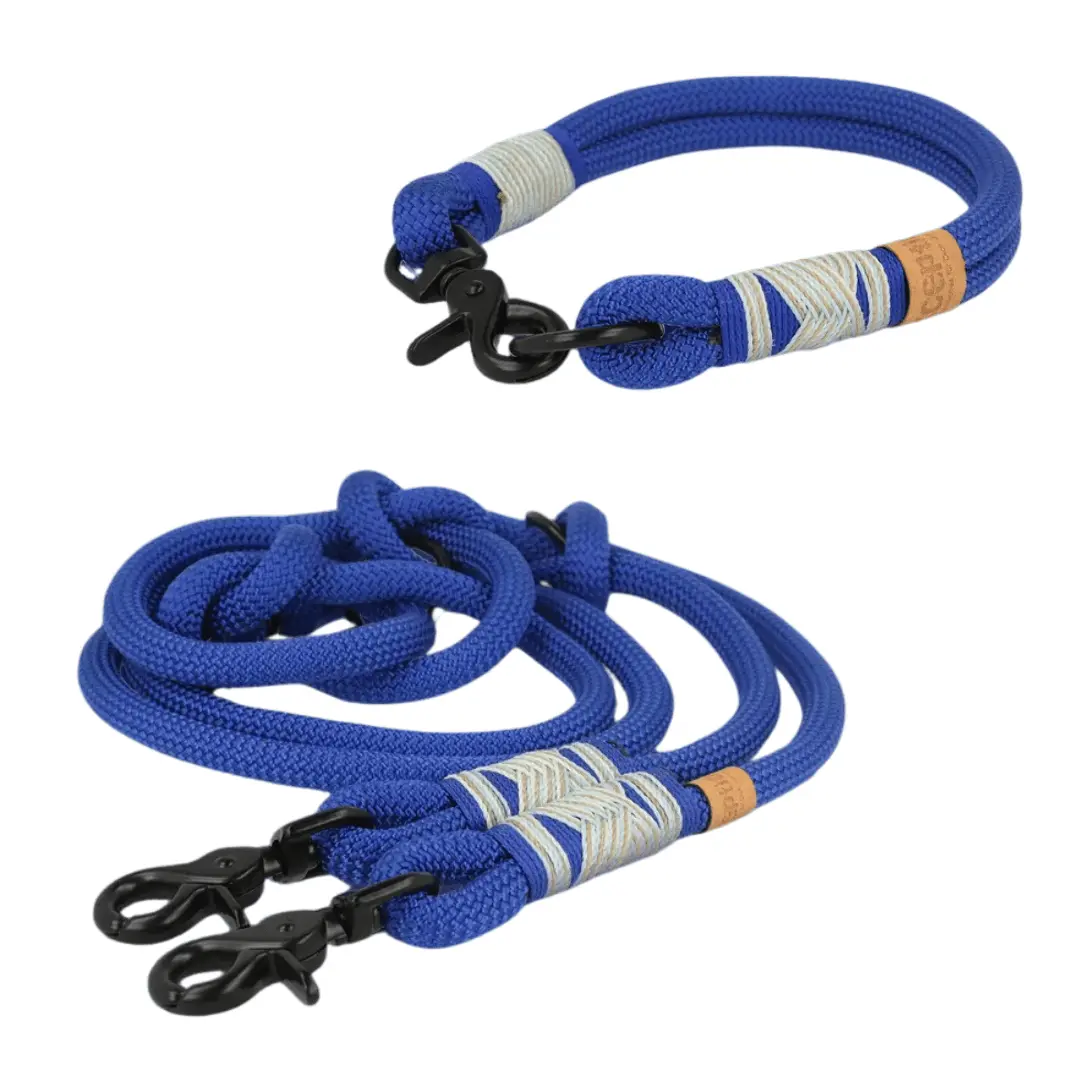 Set | Tauhalsband und Leine 'Polarnacht' Exceptional - Manufaktur mit Herz