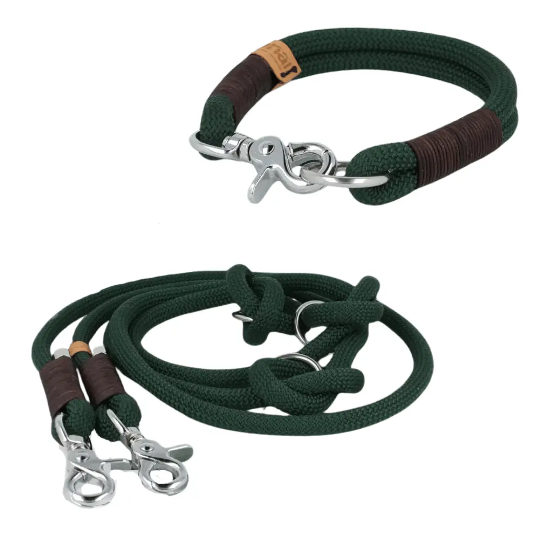 Set | Tauhalsband und Leine 'Waldzauber' Exceptional - Manufaktur mit Herz
