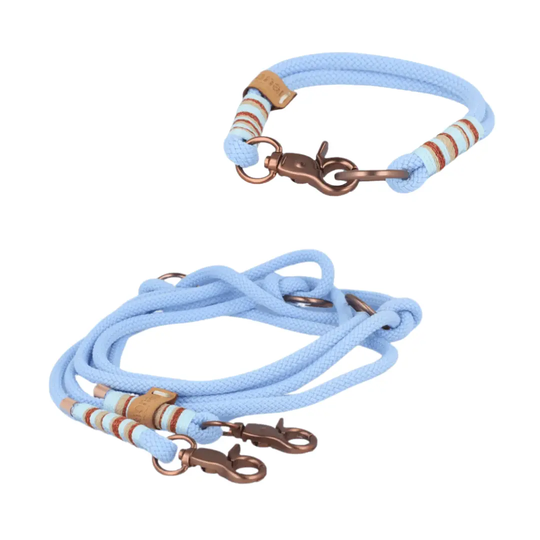 Set small | Tauhalsband und Leine 'Skylight Grace' Exceptional - Manufaktur mit Herz