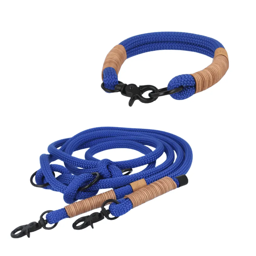 Set small | Tauhalsband und Leine 'Blue Spirit' Exceptional - Manufaktur mit Herz