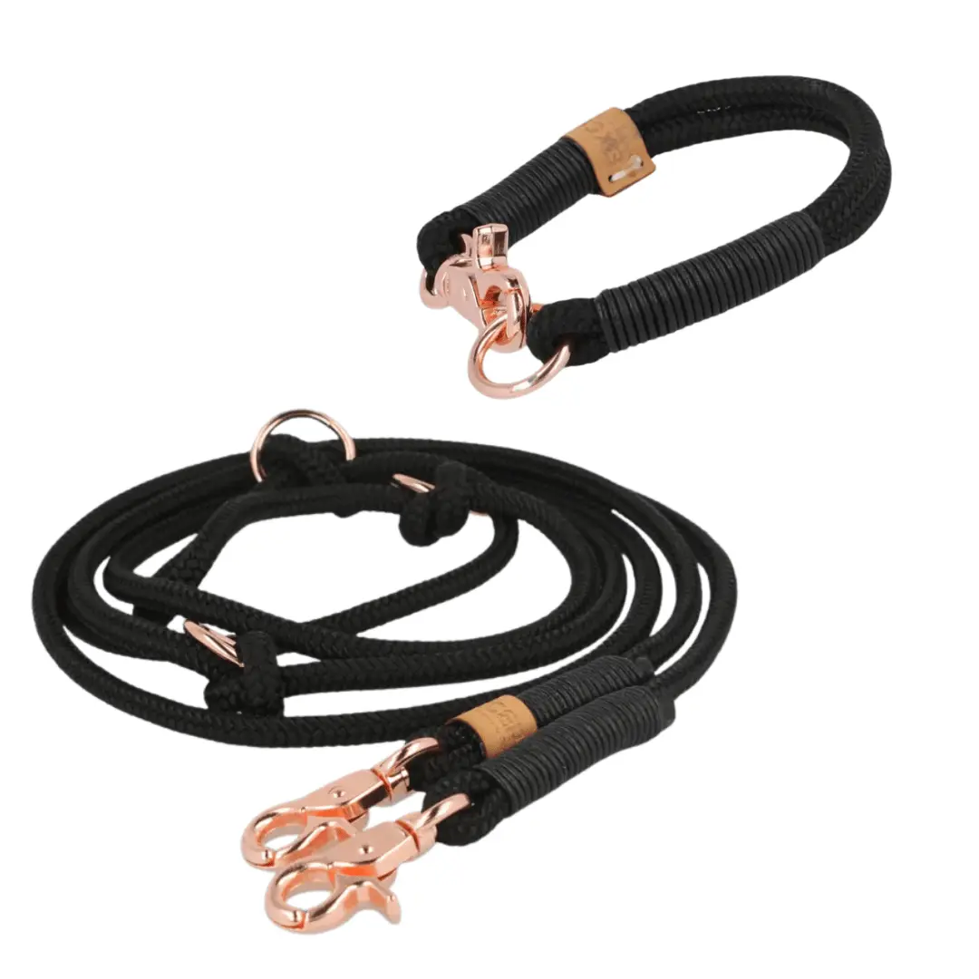 Set small | Tauhalsband und Leine 'Rose in the Dark' Exceptional - Manufaktur mit Herz