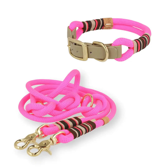Set | Tauhalsband und Leine 'Flamingo Glow' Exceptional - Manufaktur mit Herz