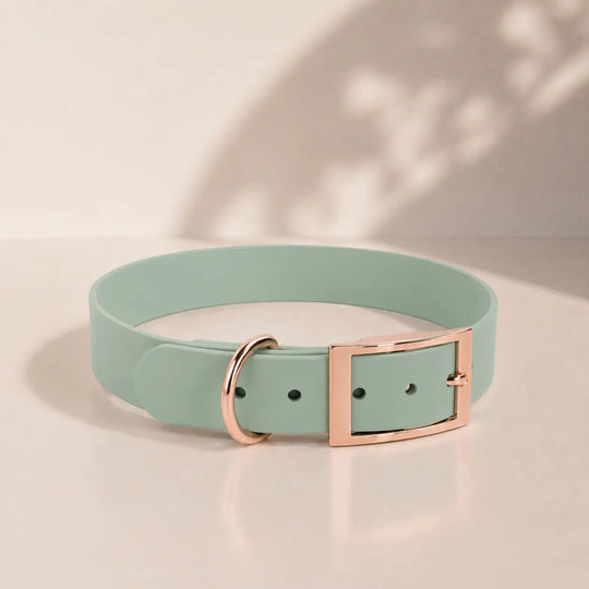 BioThane® Halsband
