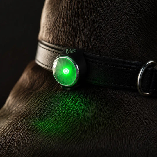 Diamond Safety Light – LED-Sicherheitslicht für Hunde