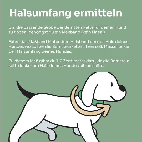 Bernsteinkette mit Aventurin – 🌿 Harmonie trifft Natürlichkeit 💚 Exceptional - Manufaktur mit Herz