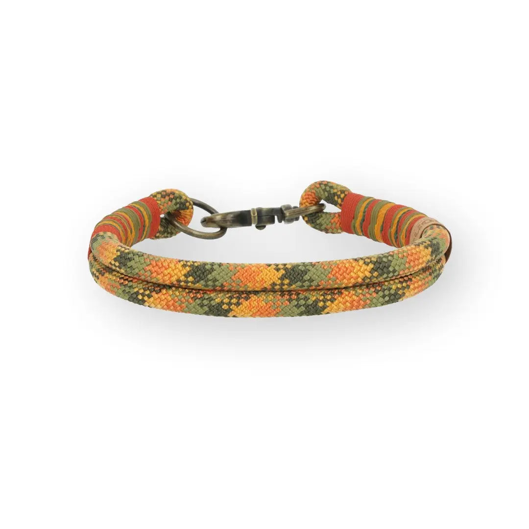 Set | Tauhalsband und Leine 'Amberwood' Exceptional - Manufaktur mit Herz