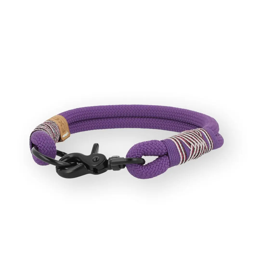 Set | Tauhalsband und Leine 'Purple Grape' Exceptional - Manufaktur mit Herz