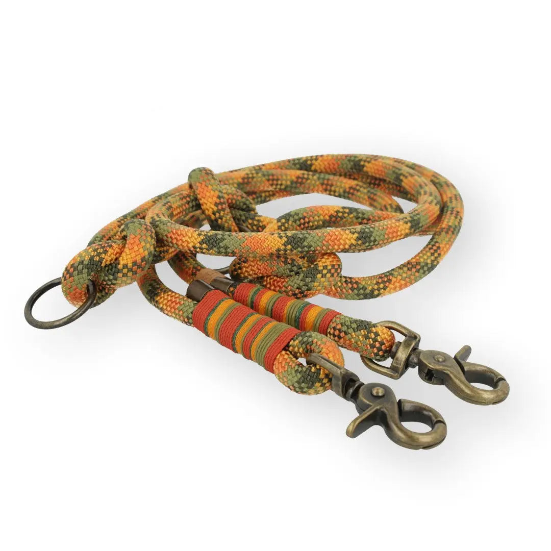 Set | Tauhalsband und Leine 'Amberwood' Exceptional - Manufaktur mit Herz