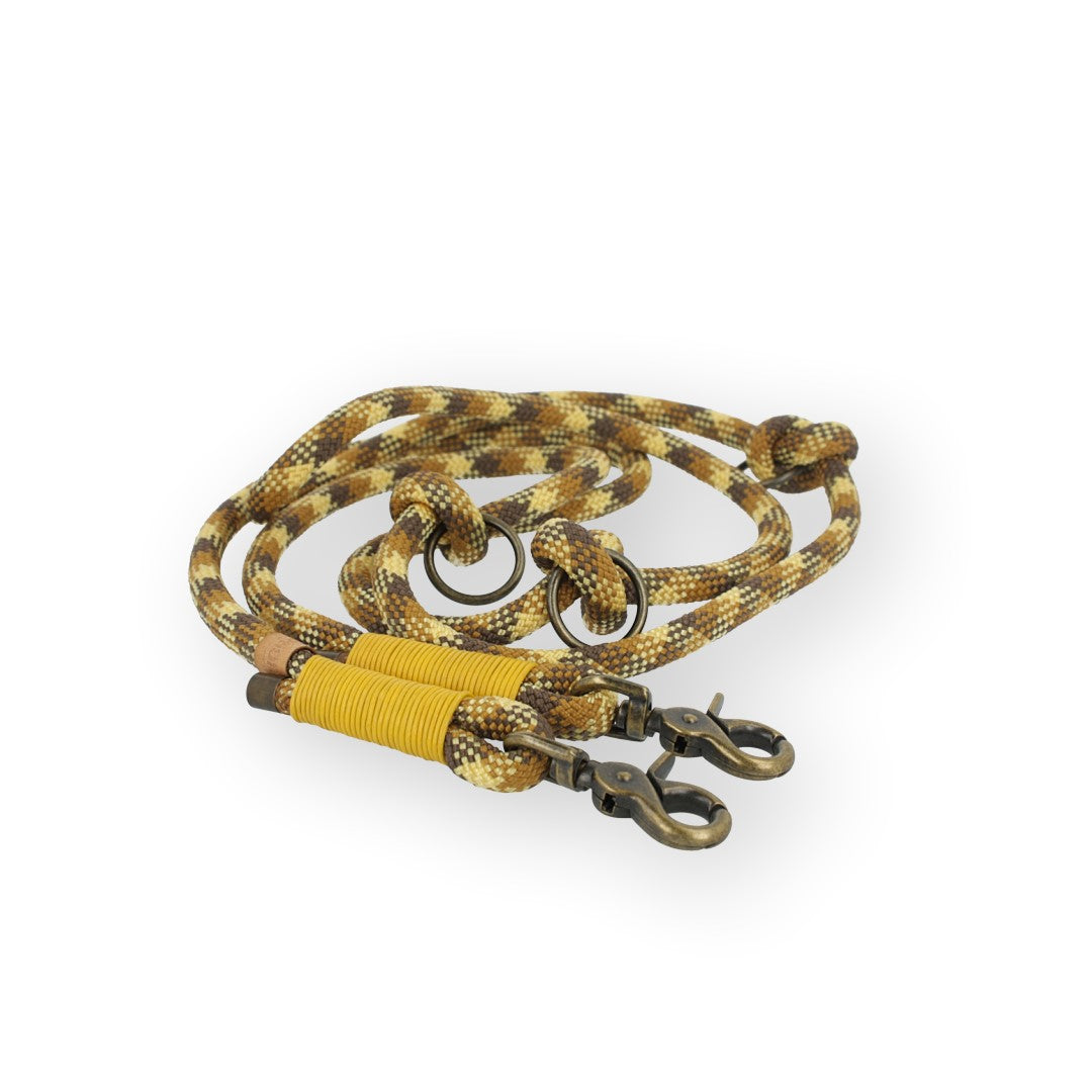 Tauleine 'Golden Dune'