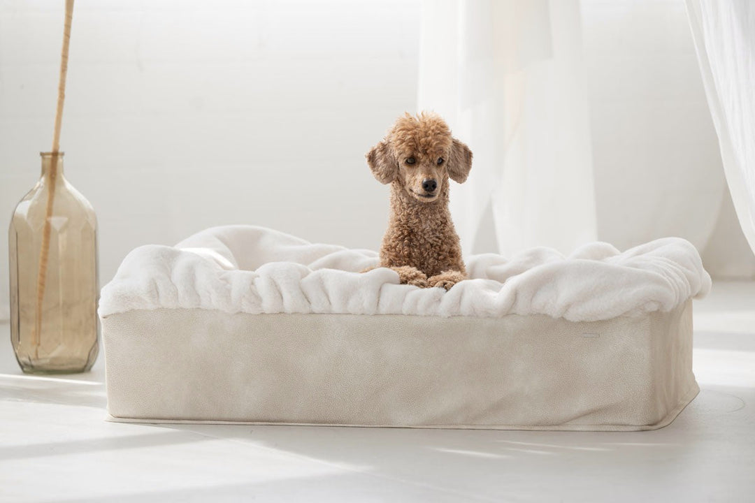 Hundebett Buddelbox® in Creme – Seitenansicht, Exceptional