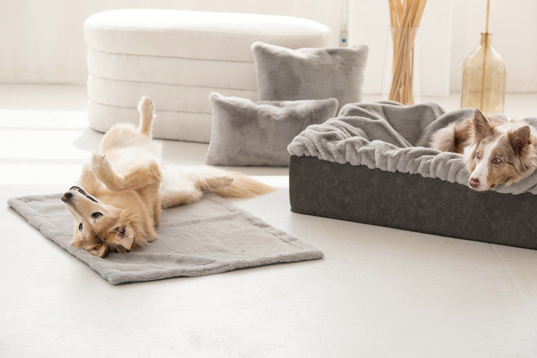 Hundebett Buddelbox® in Grau – Seitenansicht, Exceptional