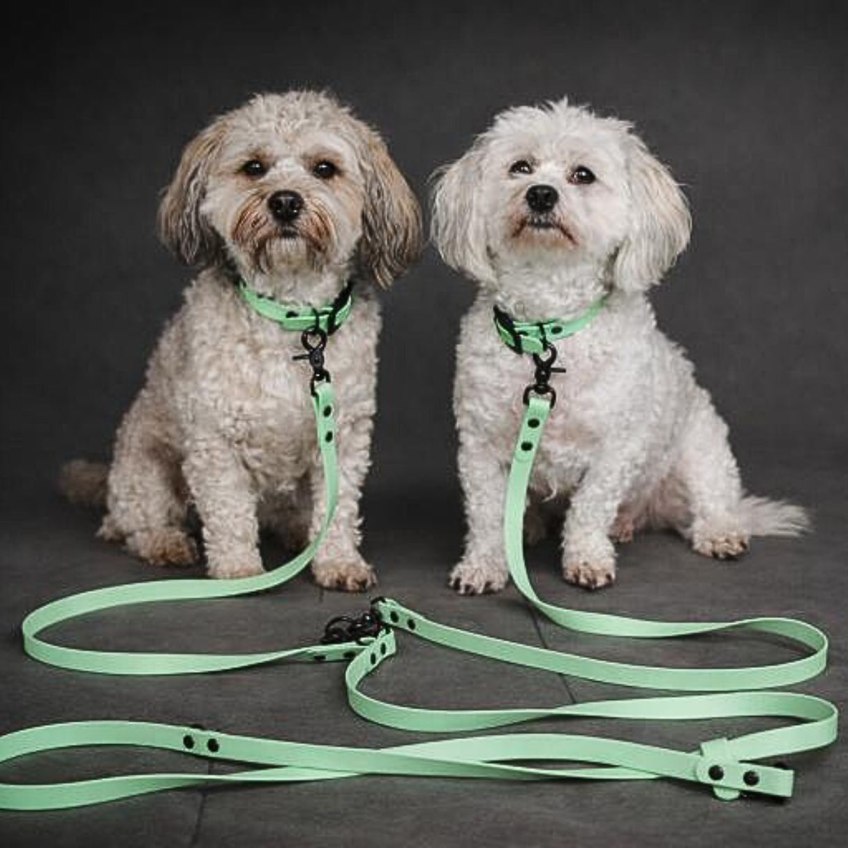 Verbindungsteil aus BioThane® für 2 Hunde an einer Leine  (1 Stück) - Koppelstück │ Koppelleine