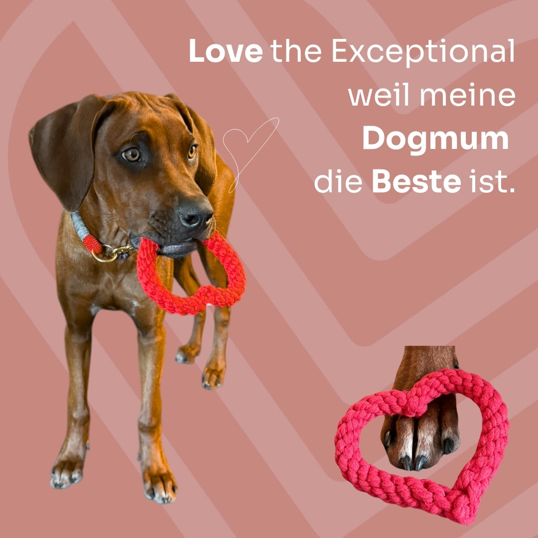 Herzstück – Hundespielzeug aus Baumwolltau in Herzform
