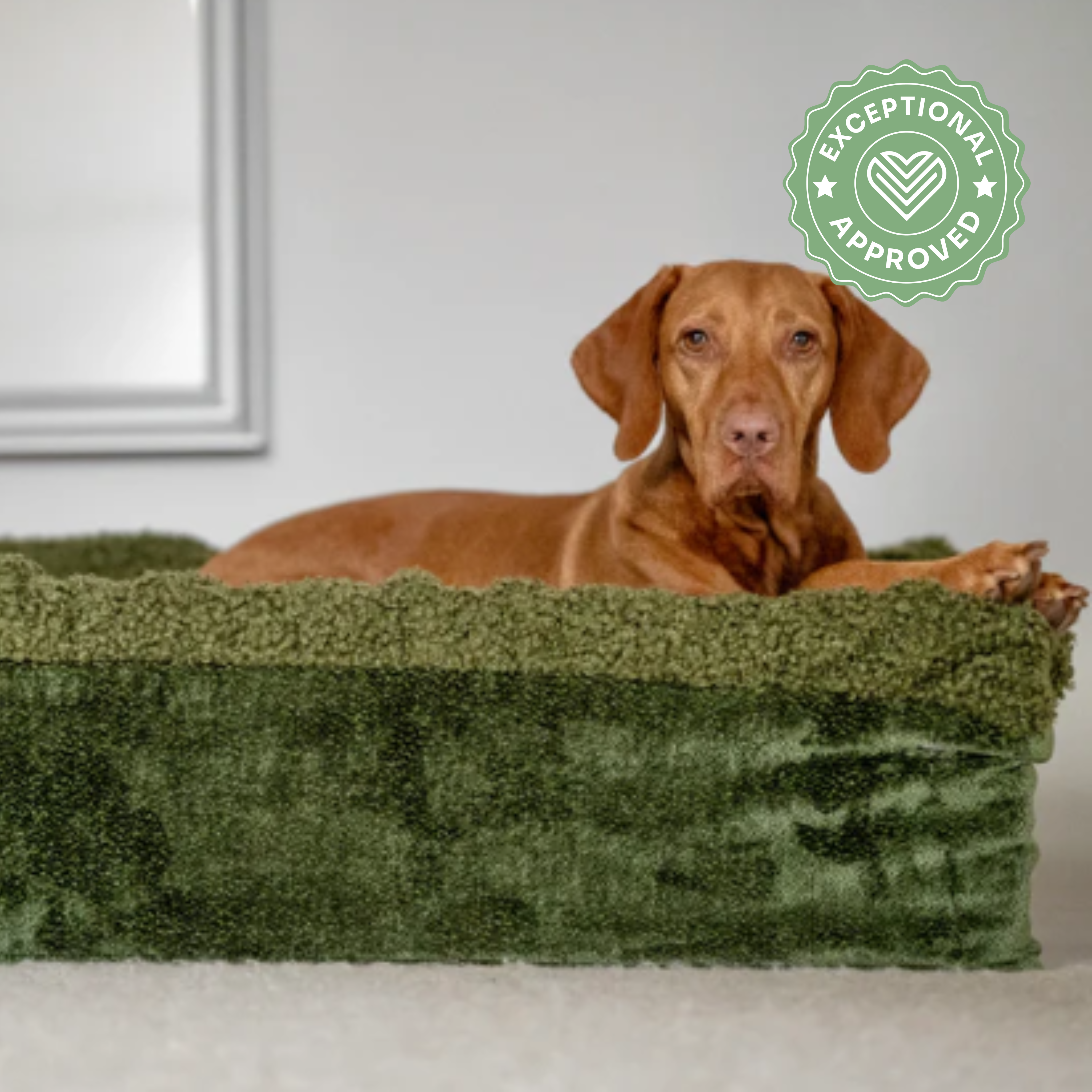 Hundebett Buddelbox Grün