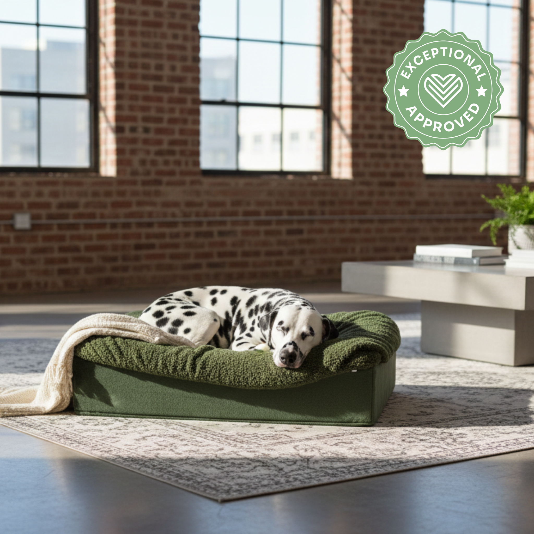 Hundebett Buddelbox Grün