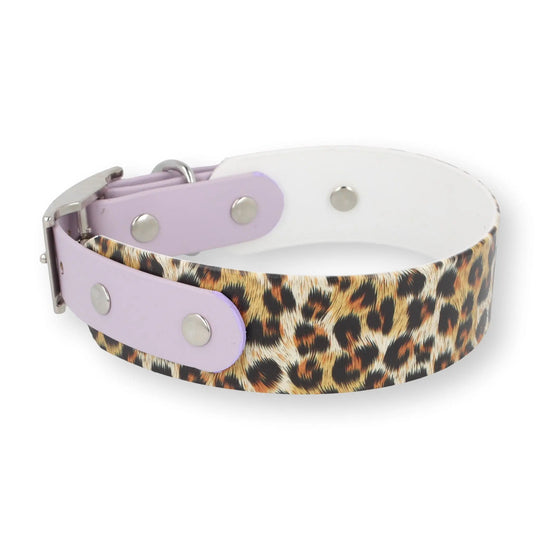 BioThane® Halsband 'WILD GLOW' Edition (limitiert) Exceptional - Manufaktur mit Herz
