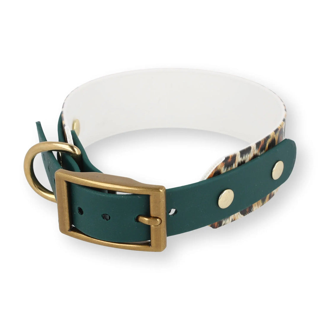 BioThane® Halsband 'WILD GLOW' Edition (limitiert) Exceptional - Manufaktur mit Herz