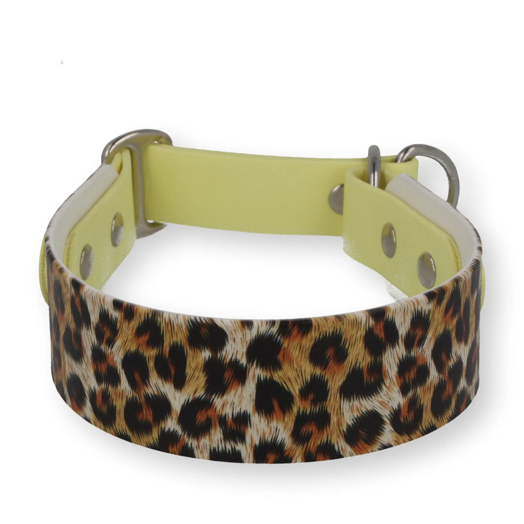 Zugstopp-Halsband – WILD GLOW Edition aus BioThane® (limitiert) Exceptional - Manufaktur mit Herz