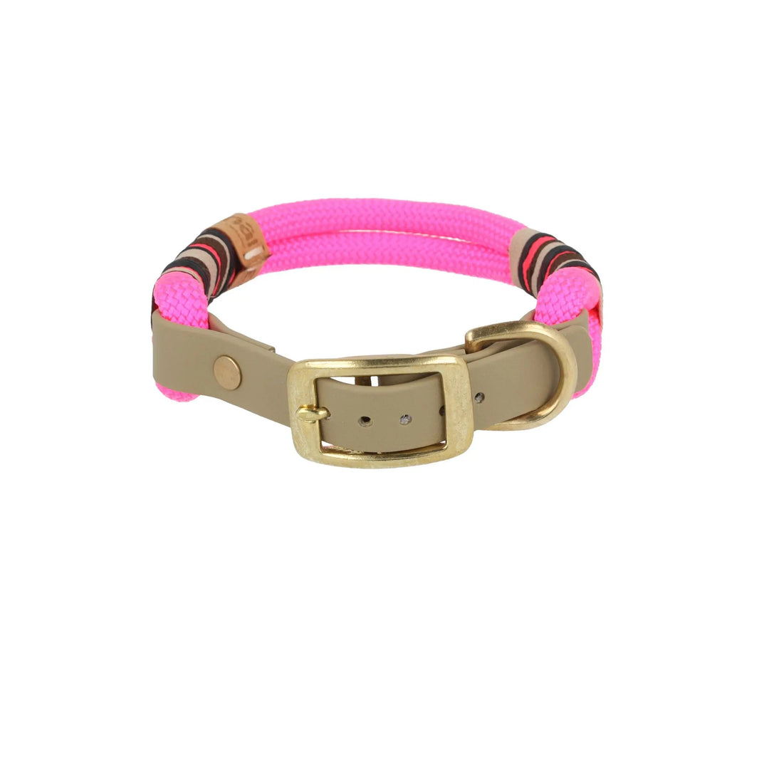 Set | Tauhalsband und Leine 'Flamingo Glow' Exceptional - Manufaktur mit Herz