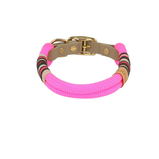 Set | Tauhalsband und Leine 'Flamingo Glow' Exceptional - Manufaktur mit Herz