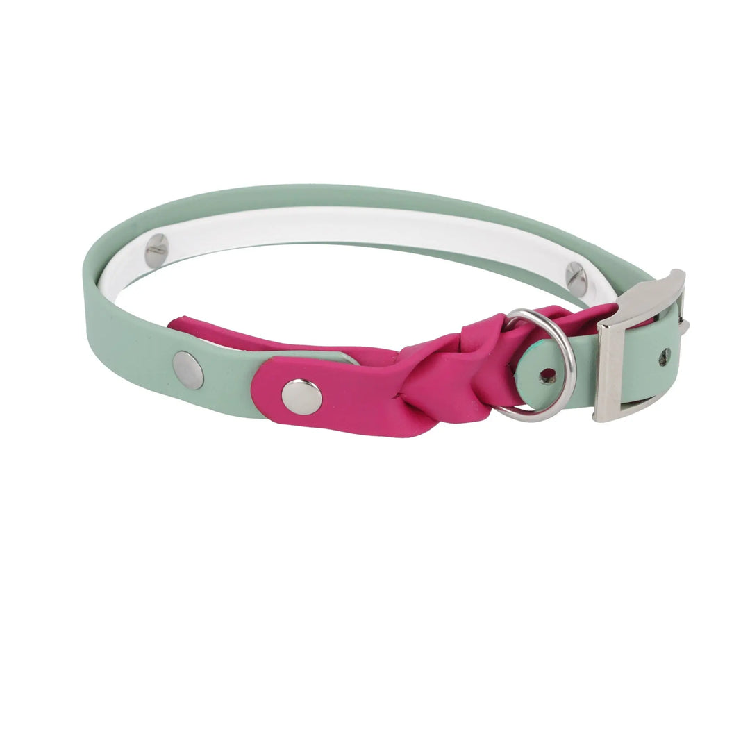 CoverUp Collar – funktionales Hundehalsband mit verdecktem Zeckenband –  Exceptional