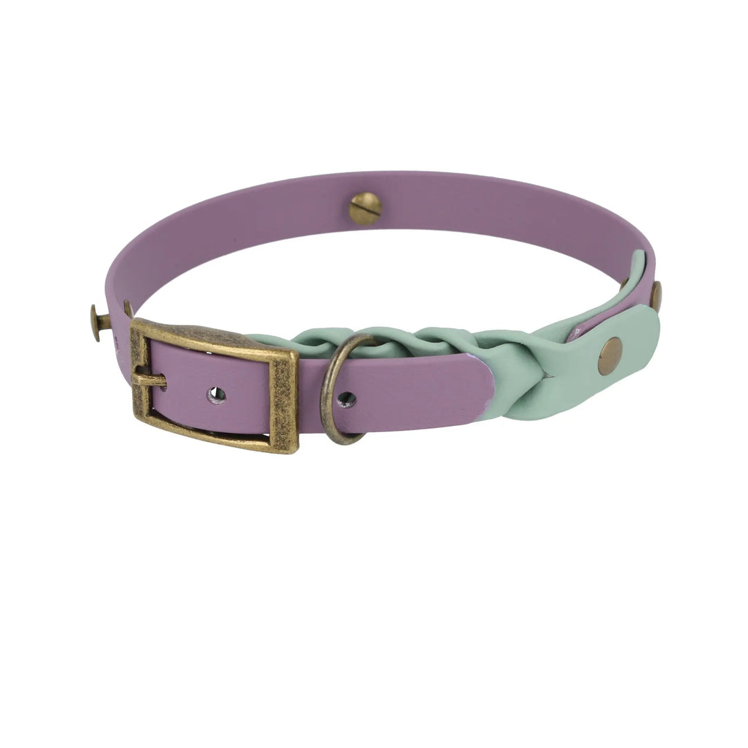 CoverUp Collar – funktionales Hundehalsband mit verdecktem Zeckenband –  Exceptional