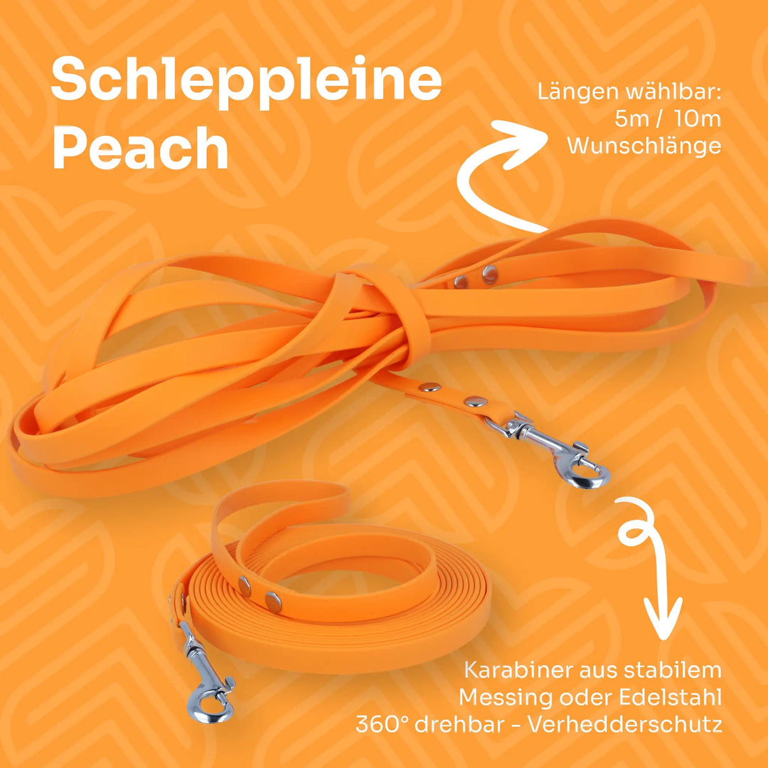 Wasserfeste Schleppleine aus BioThane® Exceptional - Manufaktur mit Herz