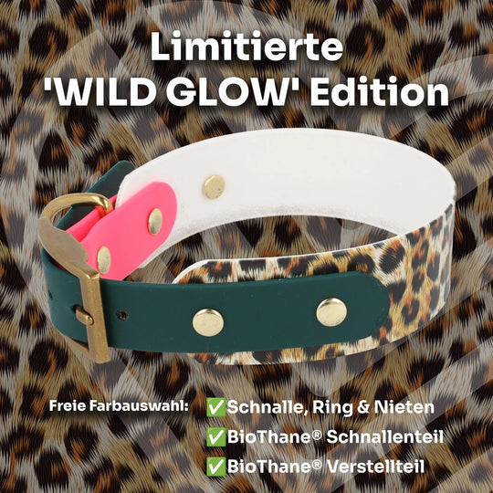 BioThane® Halsband 'WILD GLOW' Edition (limitiert) Exceptional - Manufaktur mit Herz