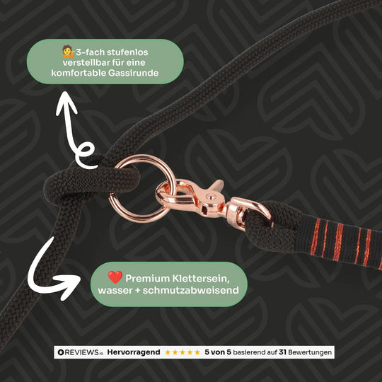 Set | Tauhalsband und Leine 'Noir & Rosé' Exceptional - Manufaktur mit Herz