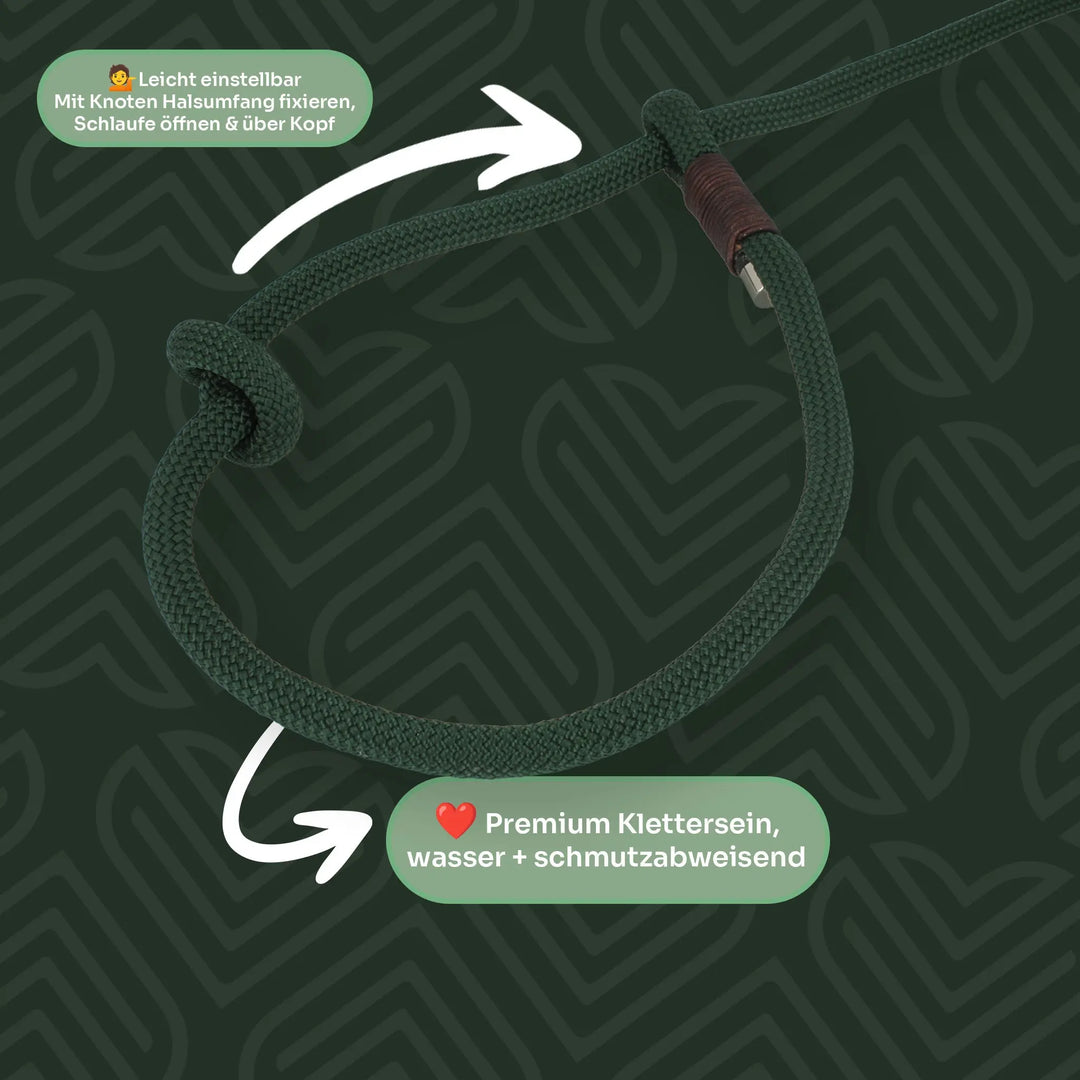Retrieverleine │ Moxonleine aus Tau 'Waldzauber' Exceptional - Manufaktur mit Herz