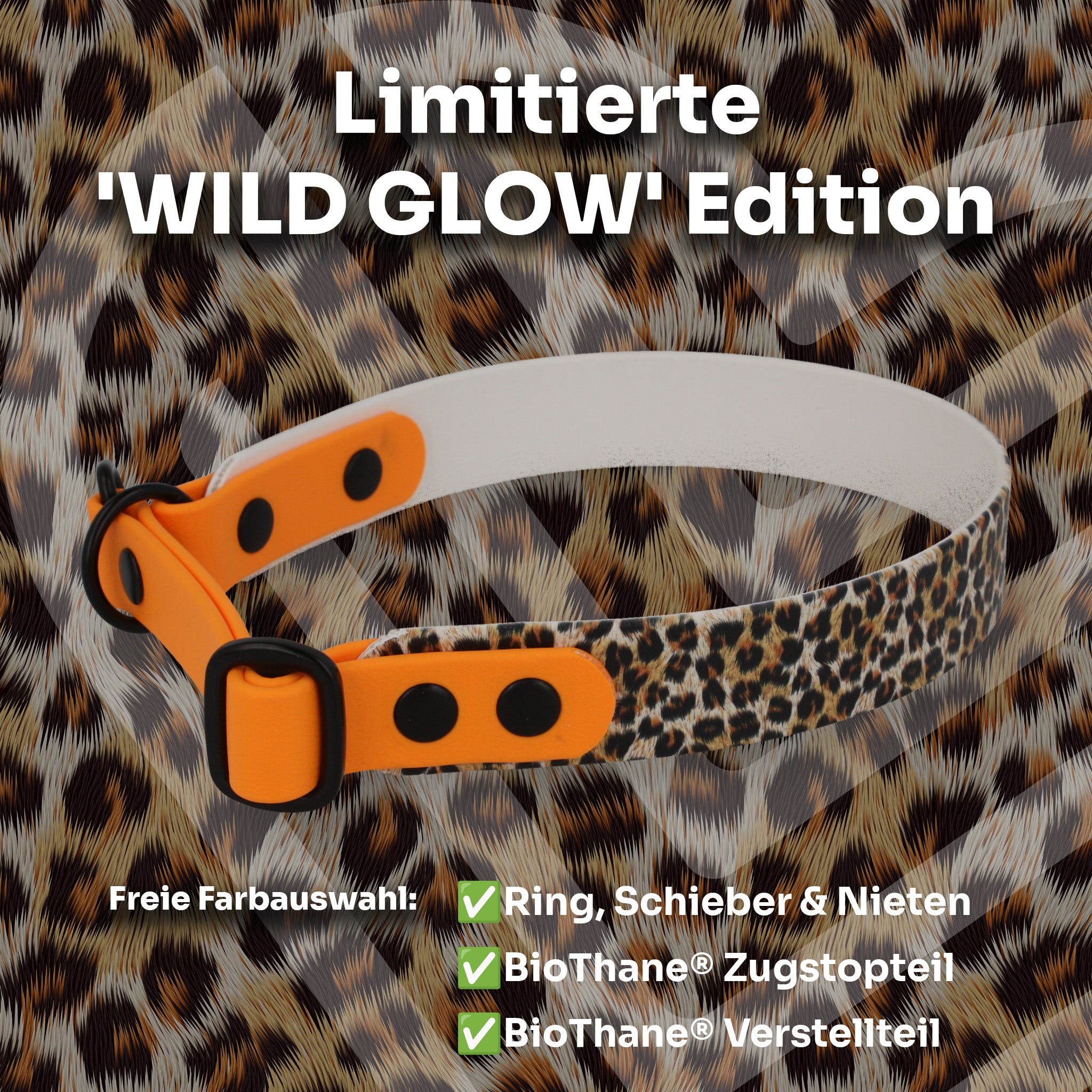 Zugstopp-Halsband – WILD GLOW Edition aus BioThane® (limitiert)