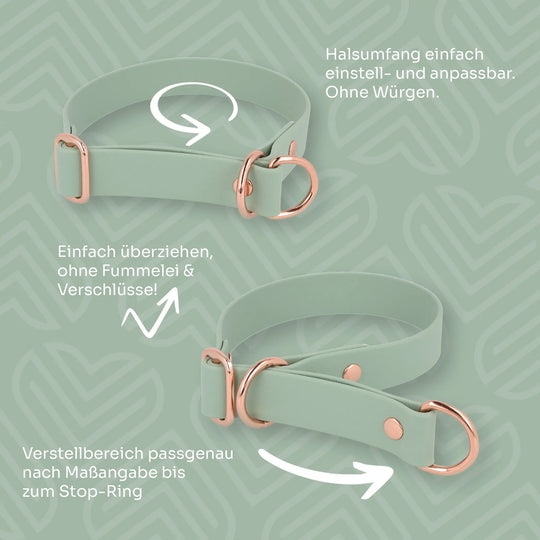 Zugstopp-Halsband aus BioThane® Exceptional - Manufaktur mit Herz