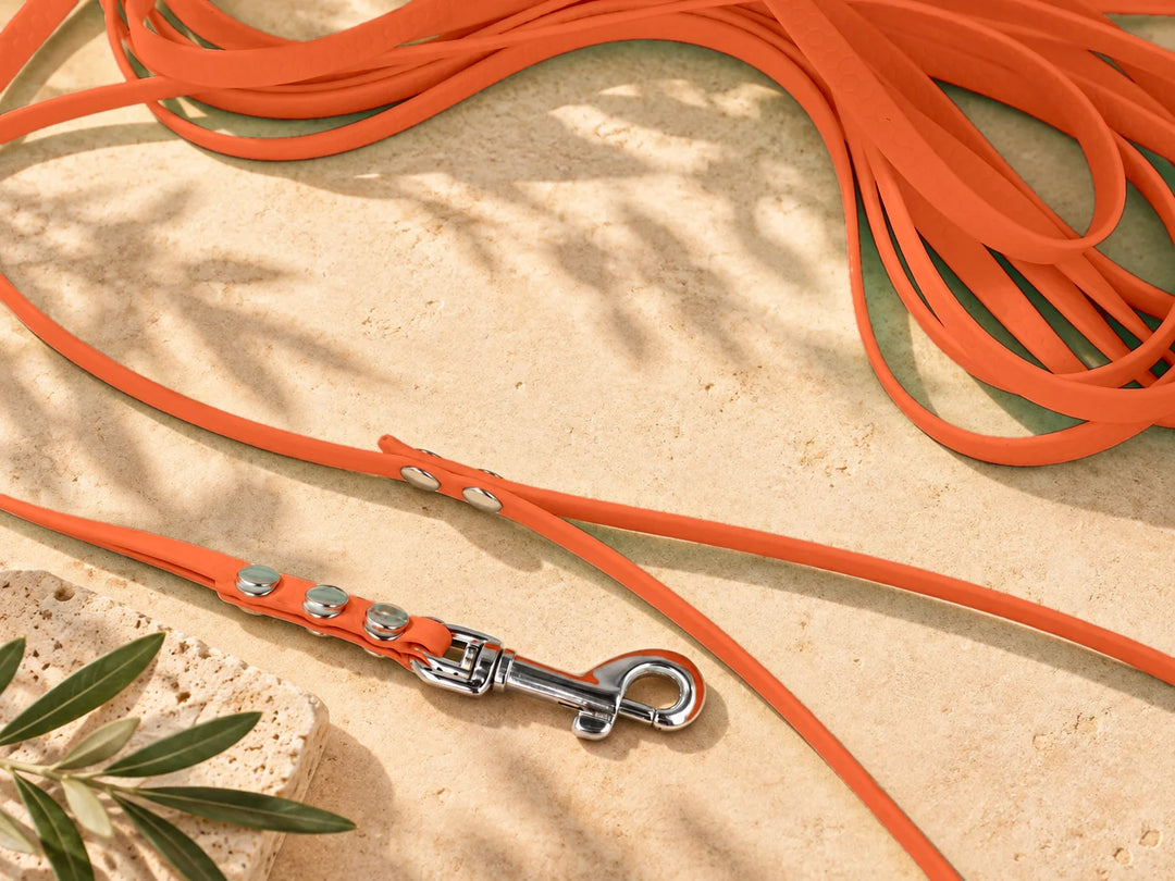 Hexa Schleppleine Aprikosenbrandy, ausgelegt, Detail Karabiner auf Stein – Exceptional