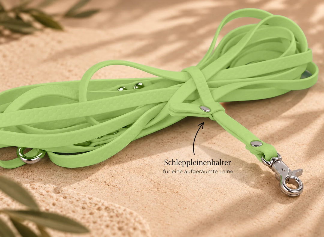 Hexa Schleppleine Jadegrün, aufgerollt mit Schleppleinenhalter auf Sand – Exceptional
