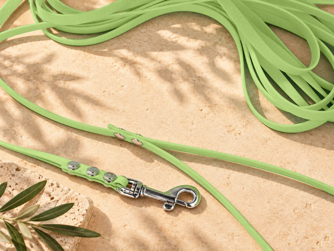Hexa Schleppleine Jadegrün, ausgelegt, Detail Karabiner auf Stein – Exceptional