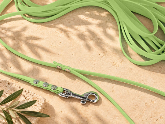 Hexa Schleppleine Jadegrün, ausgelegt, Detail Karabiner auf Stein – Exceptional