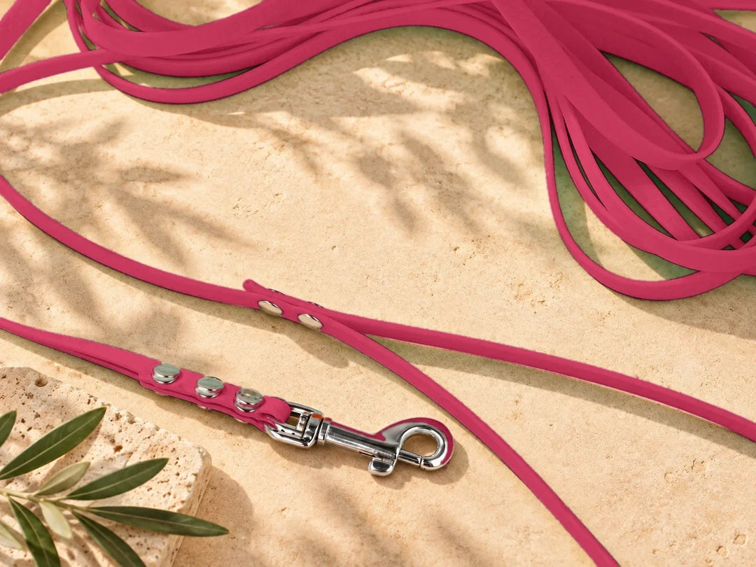 Hexa Schleppleine Knallrot, ausgelegt, Detail Karabiner auf Stein – Exceptional