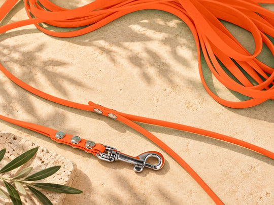 Hexa Schleppleine Neonorange, ausgelegt, Detail Karabiner auf Stein – Exceptional